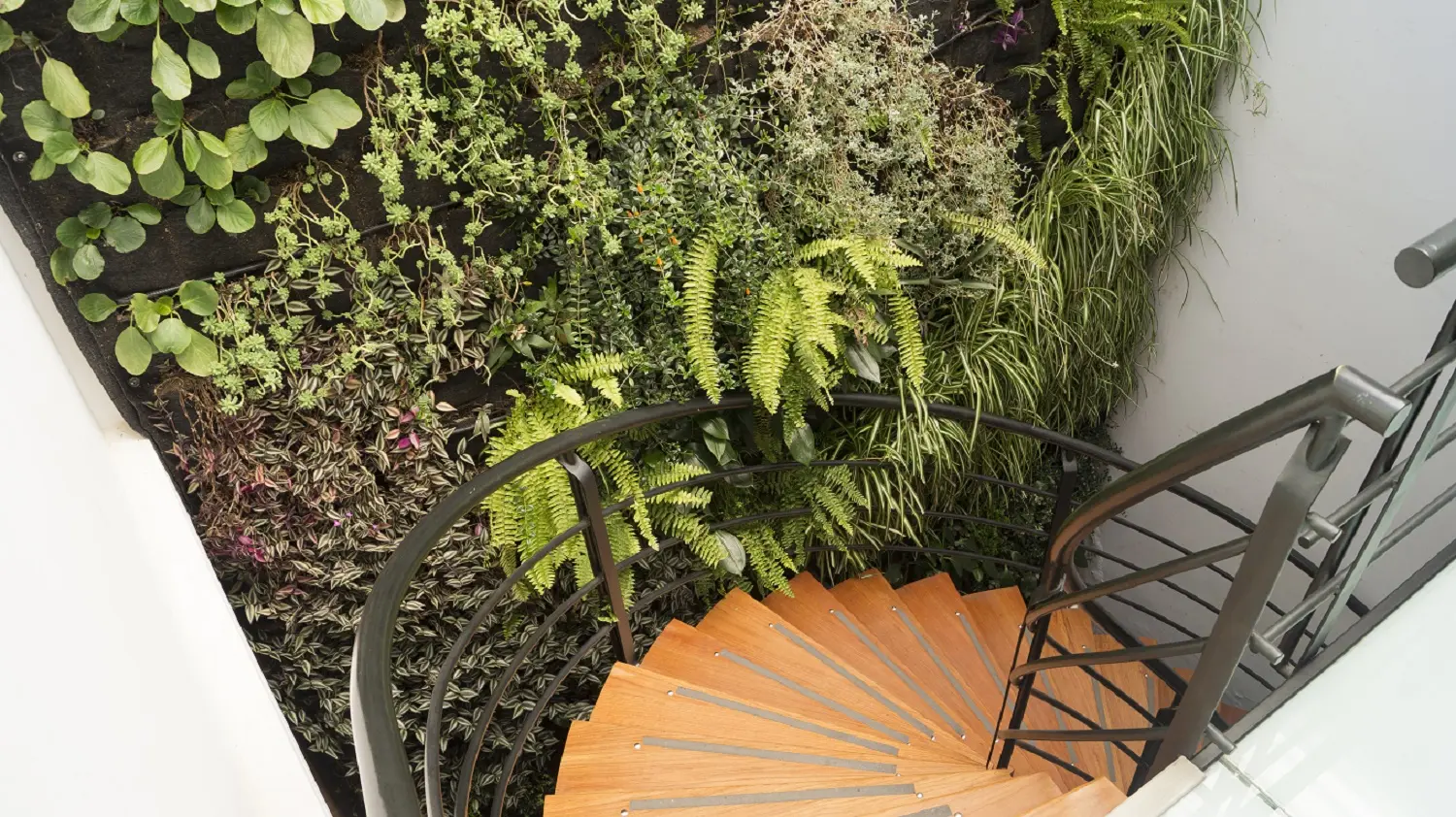 Escalera rodeada de un jardín vertical en Casa Veka